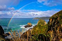 Umgebung Nugget Point in den Catlins