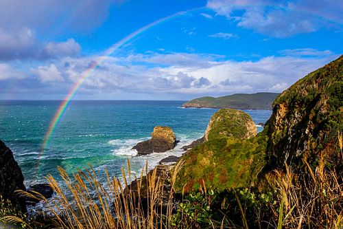 Omgeving Nugget Point the Catlins