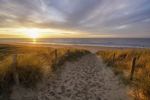 Strand, zee en zon....gek op de kust