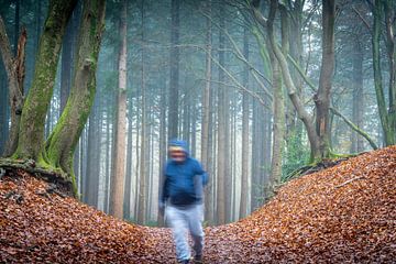Wanderer zwischen Bäumen im nebligen Speulderbos in Ermelo, Niederlande von Bart Ros