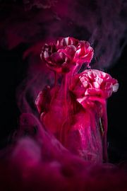 Magische Blüten von Steffen Gierok