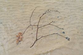 Autumn in the water 4 by Peter Smeekens