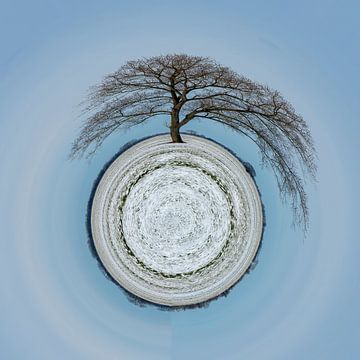 Tiny Tree Planet van D Meijer