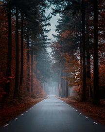 Speulderbos 2023 - 10 von Nuance Beeld