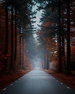 Speulderbos 2023 - 10