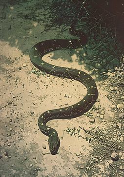 The play of reflections: A snake in the dance of light
