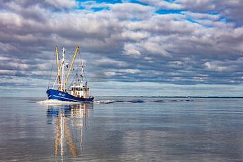 bateau de pêche à laurel eye