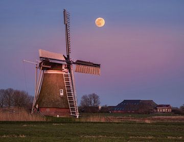 Mill Hoeksmeer by Marga Vroom