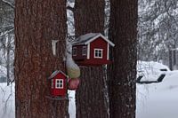 Vogelnest