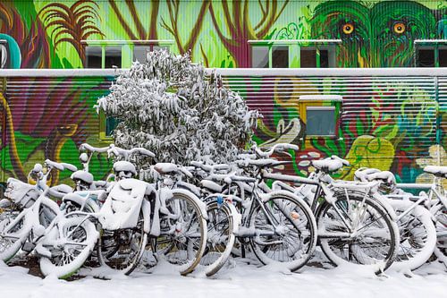 Schnee, Fahrräder und Straßenkunst, Lombok, Utrecht