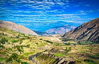 Landschap in de omgeving van Colca Canyon, Peru van Rietje Bulthuis thumbnail