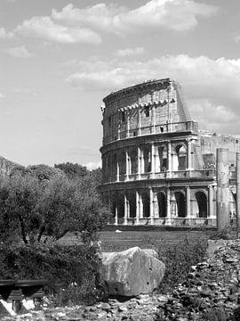 Colosseum van Bas de Boer