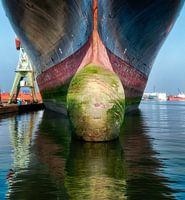 Neus van het schip