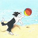 Sendie met strandbal aan zee van Rianne Brugmans van Breugel thumbnail