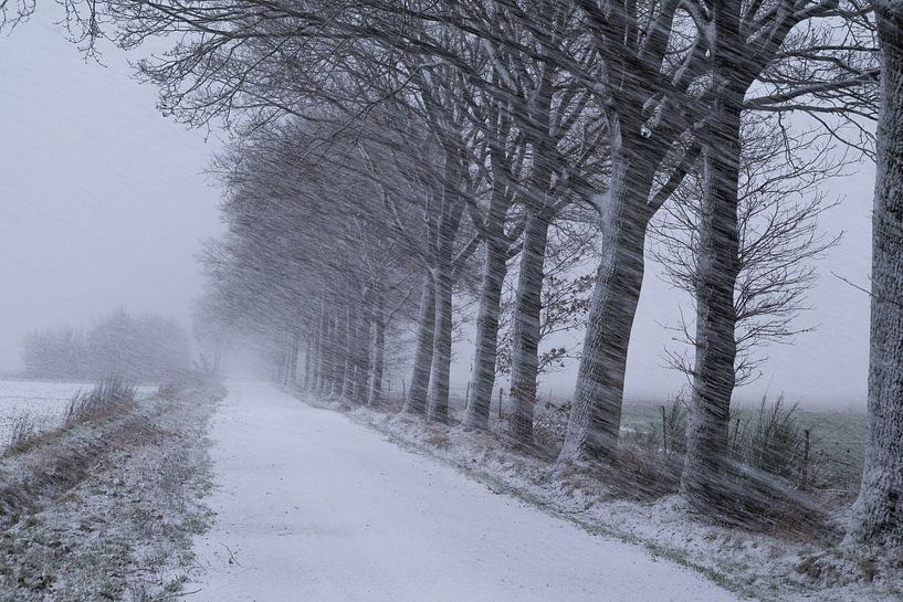Schneeschauer bei starkem Wind von Mirjam Leyte