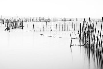 Laguna d' Albufera in Spanien