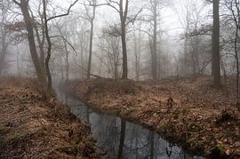 Wolfhezerheide Teil 118 von Tania Perneel