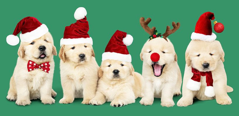 Merry X-mas by GᎥรєlค Art Ŧ๏г Y๏ย