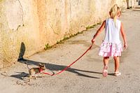 Ein kleines Mädchen geht Gassi mit einem Hund