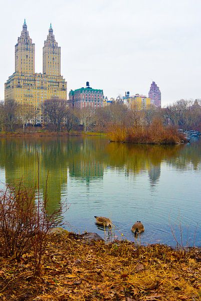 The Natural History Museum reflected in the lake in Central Park by Stefanie de Boer