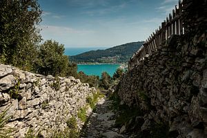 cinque terre sur Jasper Verolme