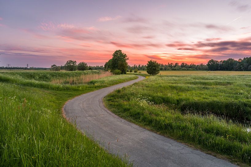 Een kronkelend pad door de Biesbosch (0137) van Reezyard
