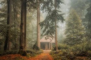 Le domaine royal de Loo