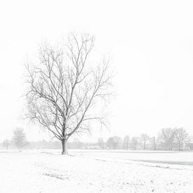 Verschneite Landschaft im Flachland von Inez VAN DE WEYER