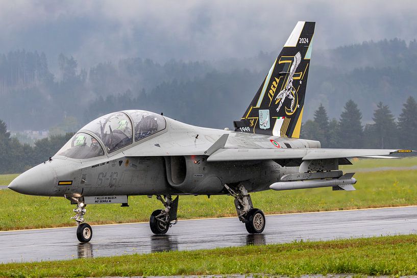 Italienischer Trainer M-345 (T-345A) im strömenden Regen von Harm-Jan Martens