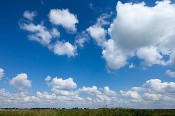 Ciel nuageux avec Cumulus 2