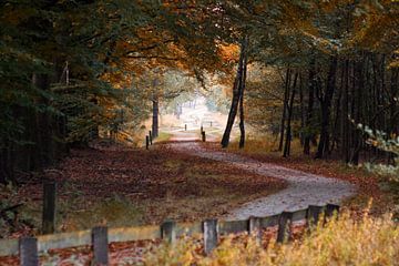 Autumn in the Holterberg by Frenk Volt