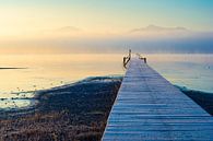 Winter in Chiemsee van Martin Wasilewski thumbnail