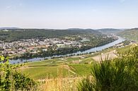 Uitzicht op het Moezeldal en de stad Bernkastel-Kues van Reiner Conrad thumbnail