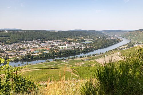 View of the Moselle valley and the town of Bernkastel-Kues