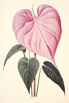 Anthurium Blume von haroulita