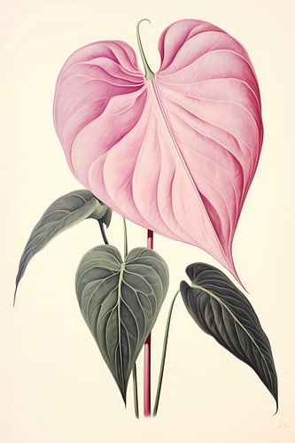 Anthurium bloem