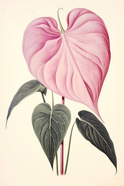Anthurium flower by haroulita