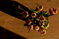Diese Tulpen gerettet
