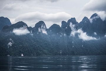 Begroeide rotsen in de jungle van Khao Sok van Anne Zwagers