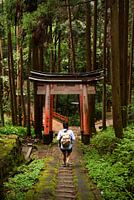 Wandelen in de Japanse bossen, Kyoto, Japan