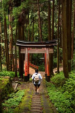 Wandelen in de Japanse bossen, Kyoto, Japan van Sebastian Rollé - travel, nature & landscape photography
