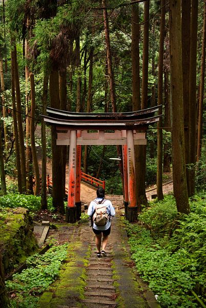 Randonnée dans les forêts japonaises, Kyoto, Japon par Sebastian Rollé - travel, nature & landscape photography