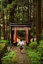 Randonnée dans les forêts japonaises, Kyoto, Japon par Sebastian Rollé - travel, nature & landscape photography Aperçu