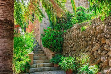 Mediterrane huis tuin patio met palmboom en planten van Alex Winter