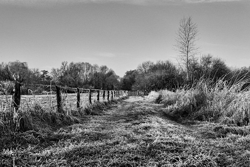 Frosty path - Silence in the morning by Momentaufnahme | Marius Ahlers