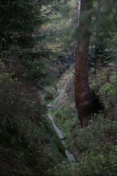 Springs Apeldoorn sur Gea Preuter