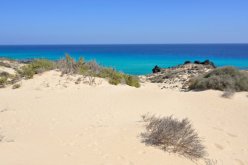 Les eaux bleues cristallines de l'Atlantique et les dunes de sable près de Corralejo, à Fuerteventura