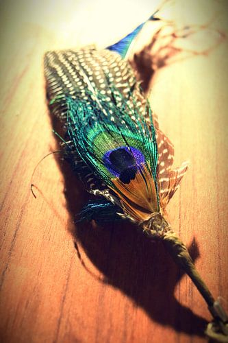 Proud as a peacock