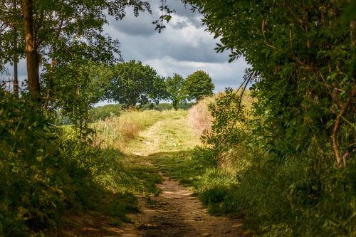 Doorkijkje op de Zuid-Limburgse heuvels bij Simpelveld