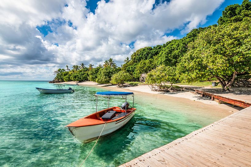 Boot am Strand der Insel Cayo Levantado von Nancy Pauwels Photo